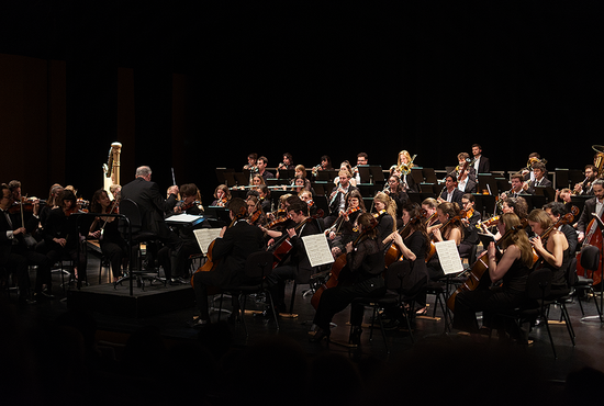 Young Philharmonic Orchestra 2025 German-French-Hungarian