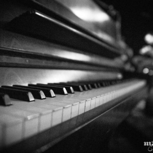 matthias-k Photography_160615_01.jpg