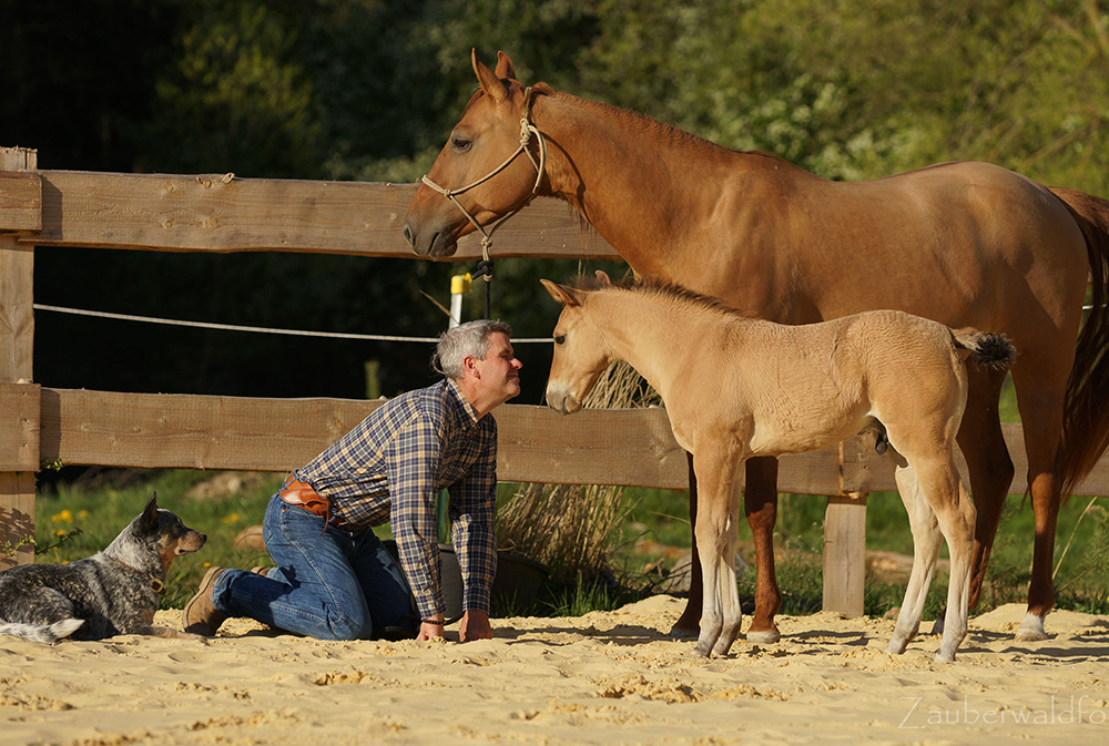 Bernd Hackl (Samstag, 2022-05-07, 20:00–16:09)
